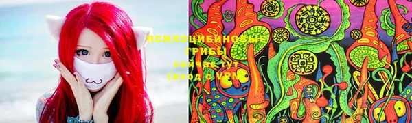 шишки Осинники