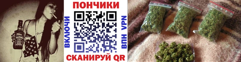 Бошки марихуана марихуана где купить наркоту Камень-на-Оби